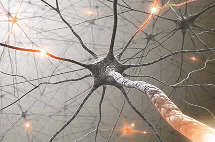 Visualisierung eines neuronalen Netzwerks mit Nervenzellen