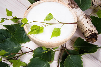 Schale mit Birkenzucker, umgeben von frischen Birkenblättern und -rinde