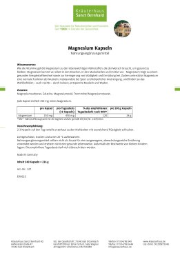 Magnesium-Kapseln 300 Kapseln