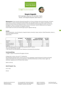Enzym-Kapseln 90 Kapseln