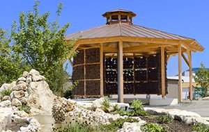 Ein besonderes Highlight wird 2010 eröffnet: